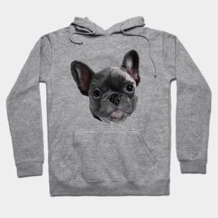 Black | Charcoal French Bulldog Puppy Hoodie